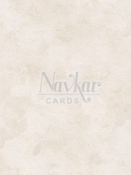 Designer paper 7731