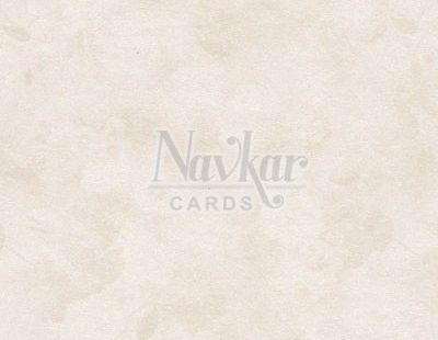 Designer paper 7731