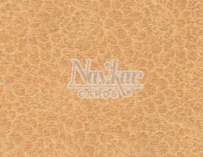 Designer-Paper 6042