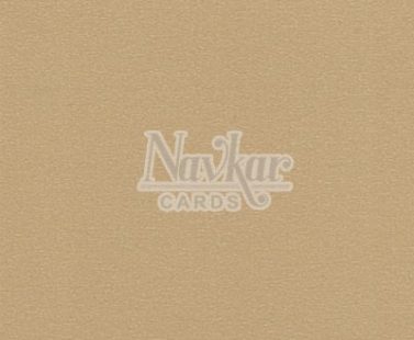 Metalic-Paper-Both-Sides 8024