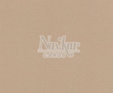 Metalic-Paper-Both-Sides 8025