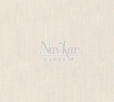 Metalic Paper Texture 1207