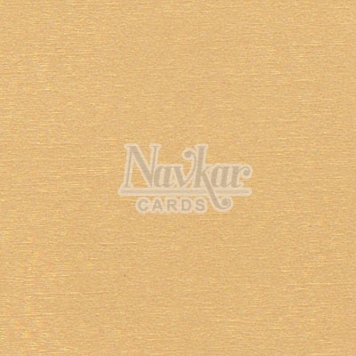 Metalic Paper Texture 1245