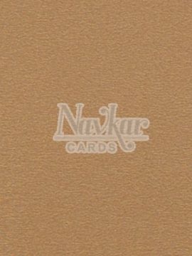 Metalic Paper Texture 1246