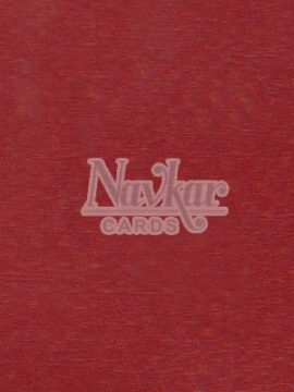 Metalic Paper Texture 1253