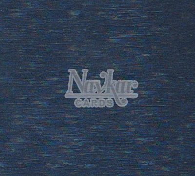 Metalic Paper Texture 1254