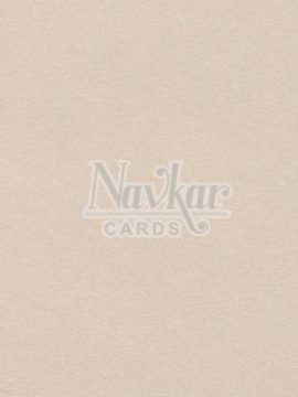 Metalic Paper Texture 1272
