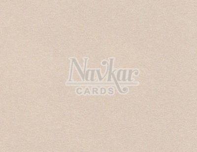 Metalic Paper Texture 1272