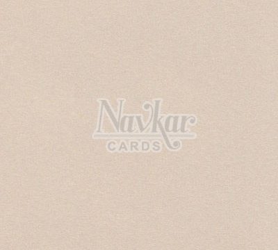 Metalic Paper Texture 1272
