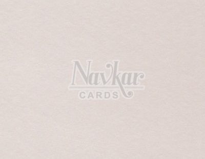 Metalic Paper Texture 1273