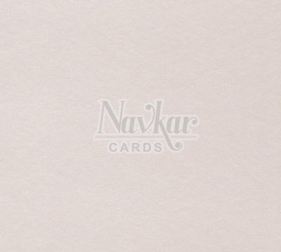 Metalic Paper Texture 1273