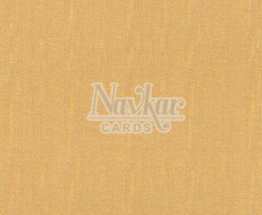 Metalic Paper Texture 4004