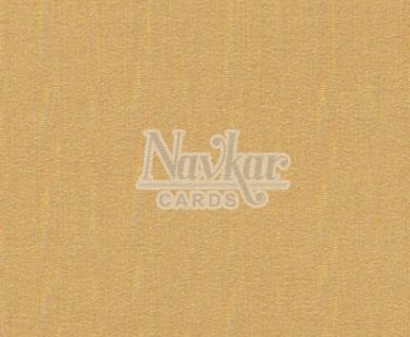 Metalic Paper Texture 4006