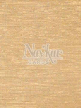 Metalic Paper Texture 4040