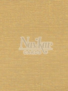 Metalic Paper Texture 4042