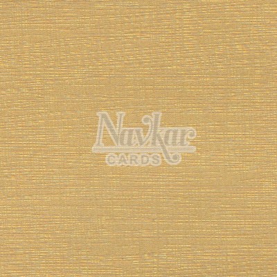 Metalic Paper Texture 4042