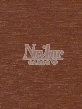 Metalic Paper Texture 4044