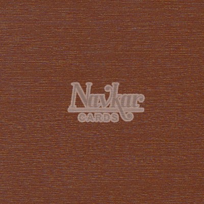 Metalic Paper Texture 4044