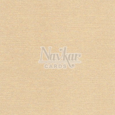 Metalic Paper Texture 6033